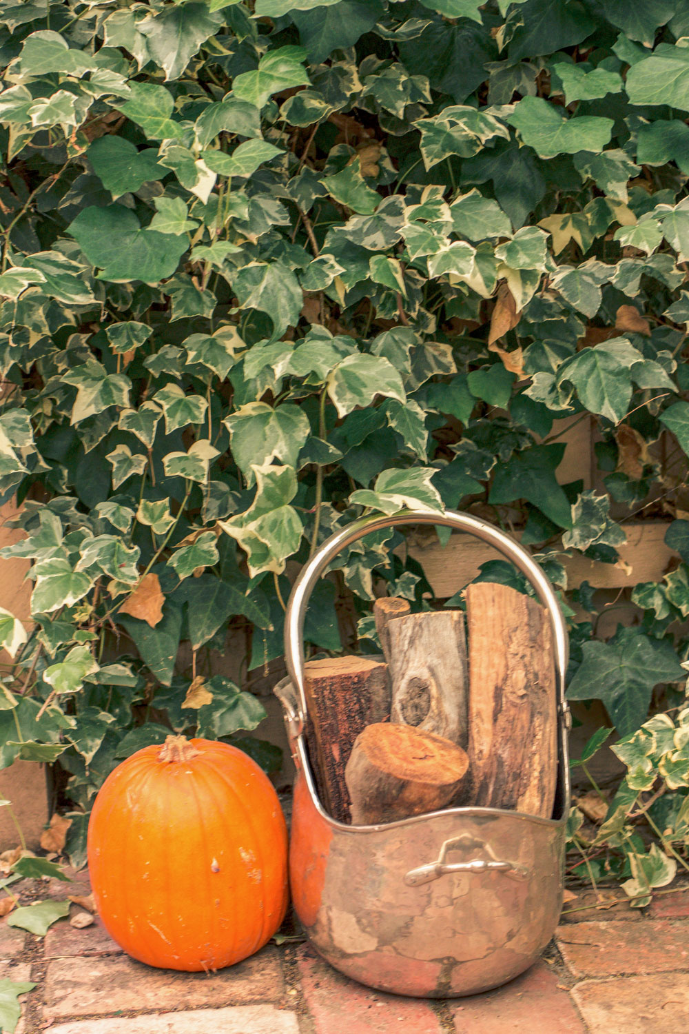 Autumn Easter Egg Hunt Decor by Goldfields Girl in Ballarat Australia. Pumpkins and fire logs in bucket 