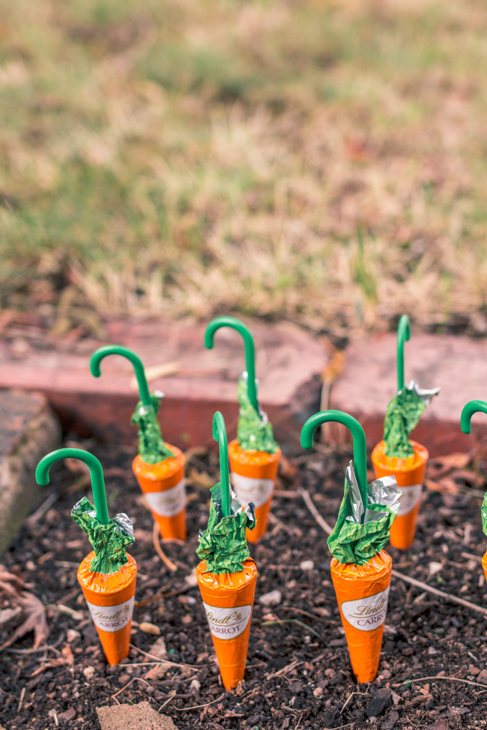 Chocolate Lindt Carrots at Goldfields Girl Peter Rabbit Autumn Easter Egg Hunt