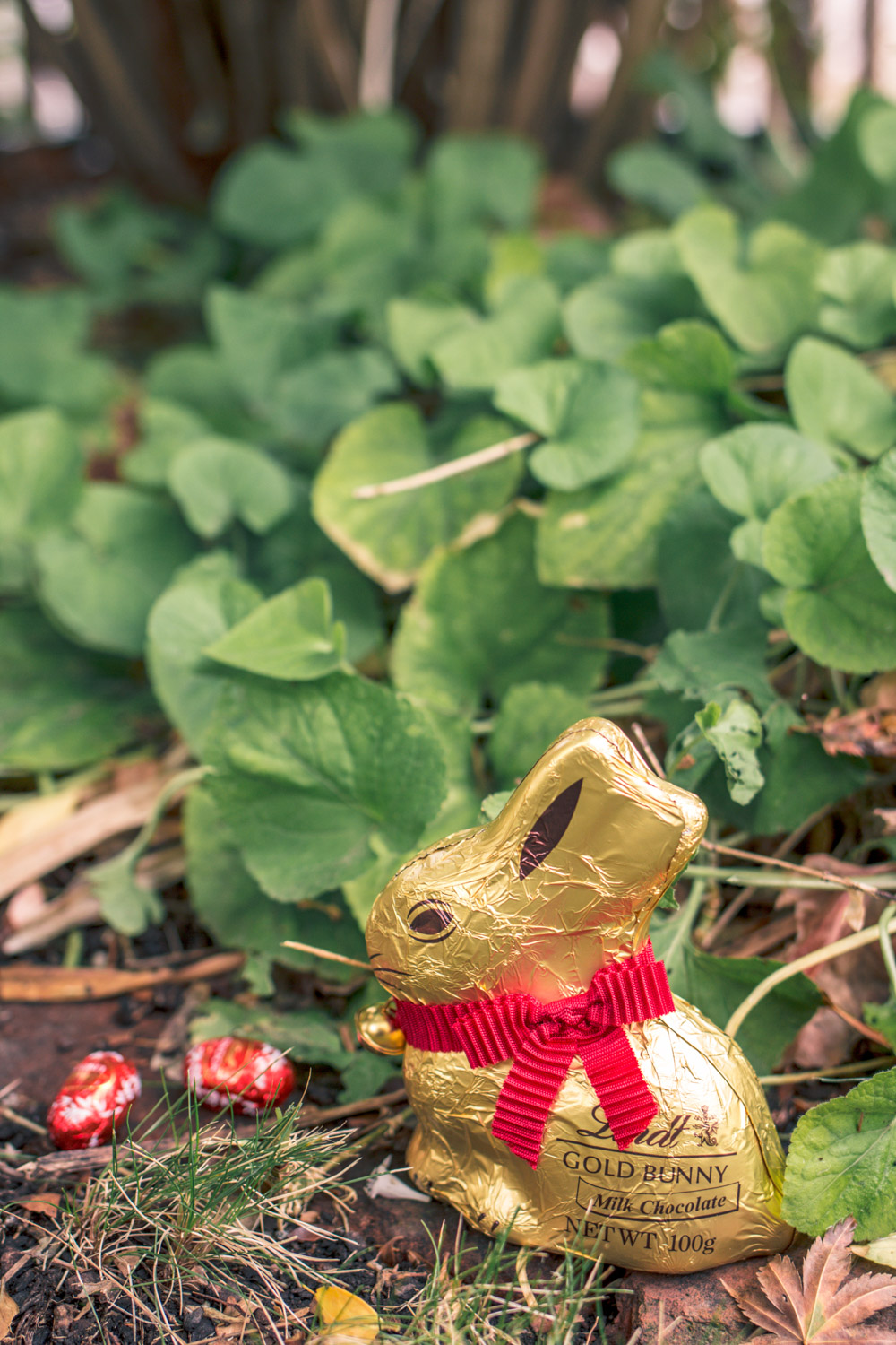 Lindt chocolates at GoldfieldGirl Autumn Easter Egg Hunt