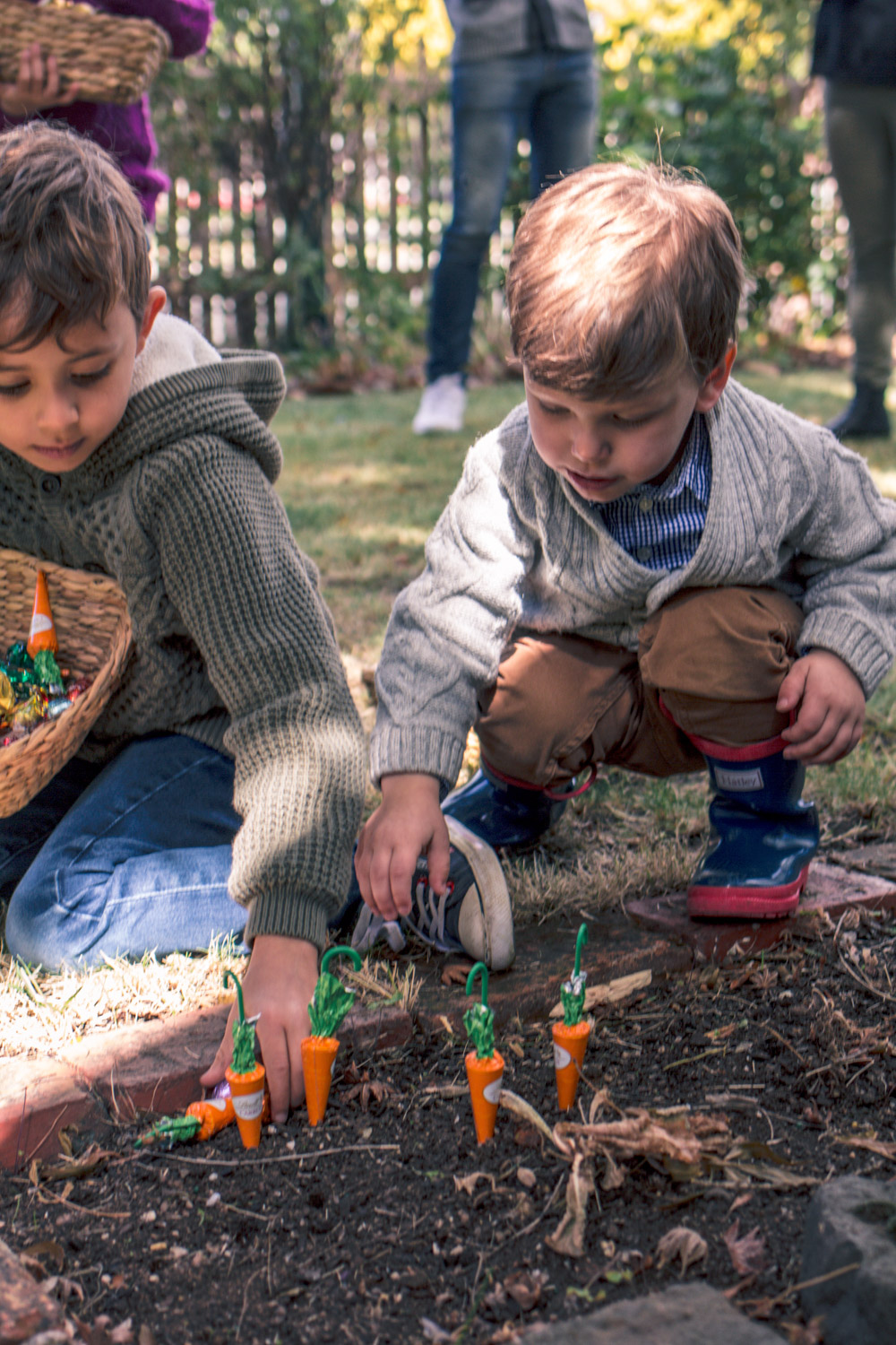 Little boys  collecting Lindt chocolate carrots at Goldfield Girl Autumn Easter Egg Hunt