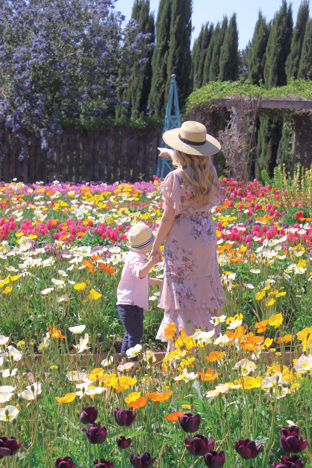 Deneale Goldfields Girl at Spring Flower Farm Garden in Regional Victoria