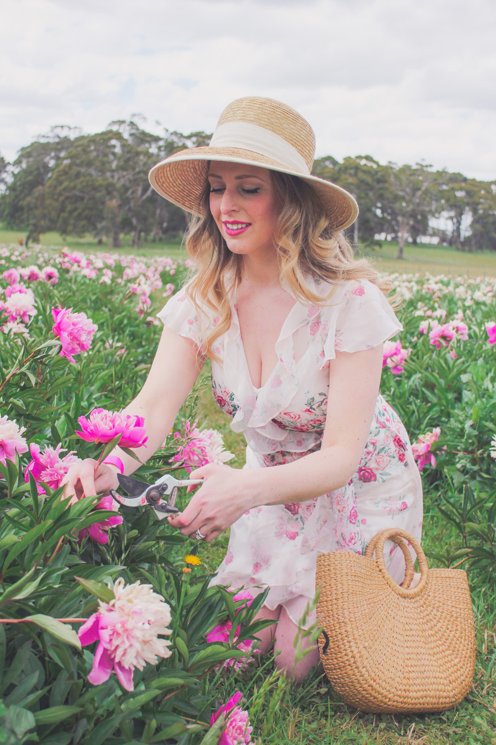 Goldfields Girl picking peony roses in the Peony Paddock at Spring Hill Peony Farm wearing an Alannah Hill dress and straw hat