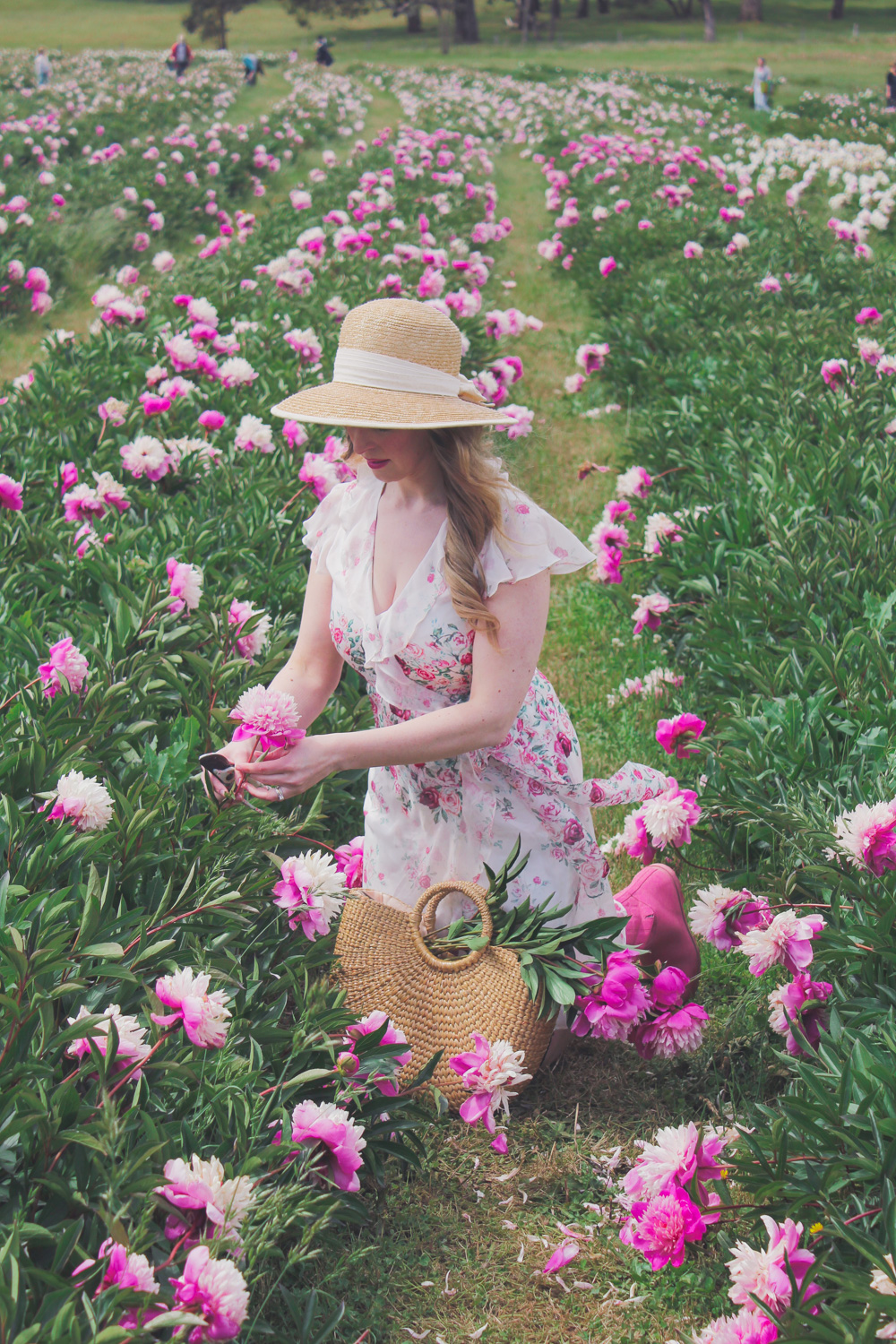 Goldfields Girl standing in the Peony Paddock at Spring Hill Peony Farm wearing an Alannah Hill dress and straw hat