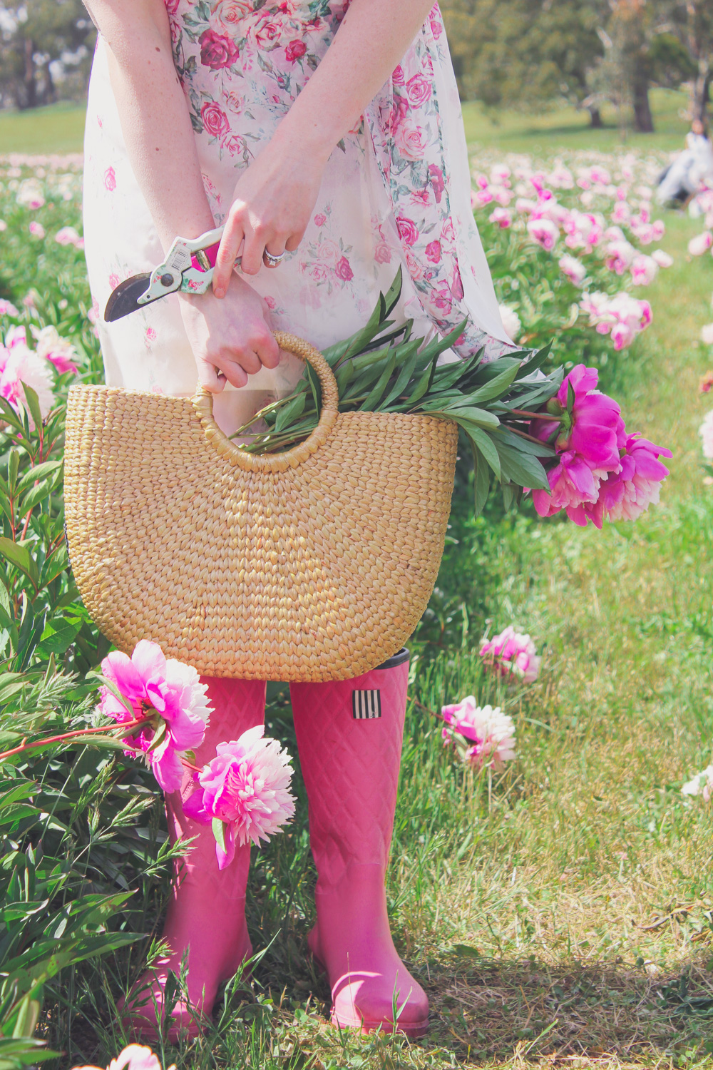 Goldfields Girl standing in the Peony Paddock at Spring Hill Peony Farm wearing an Alannah Hill dress and straw hat