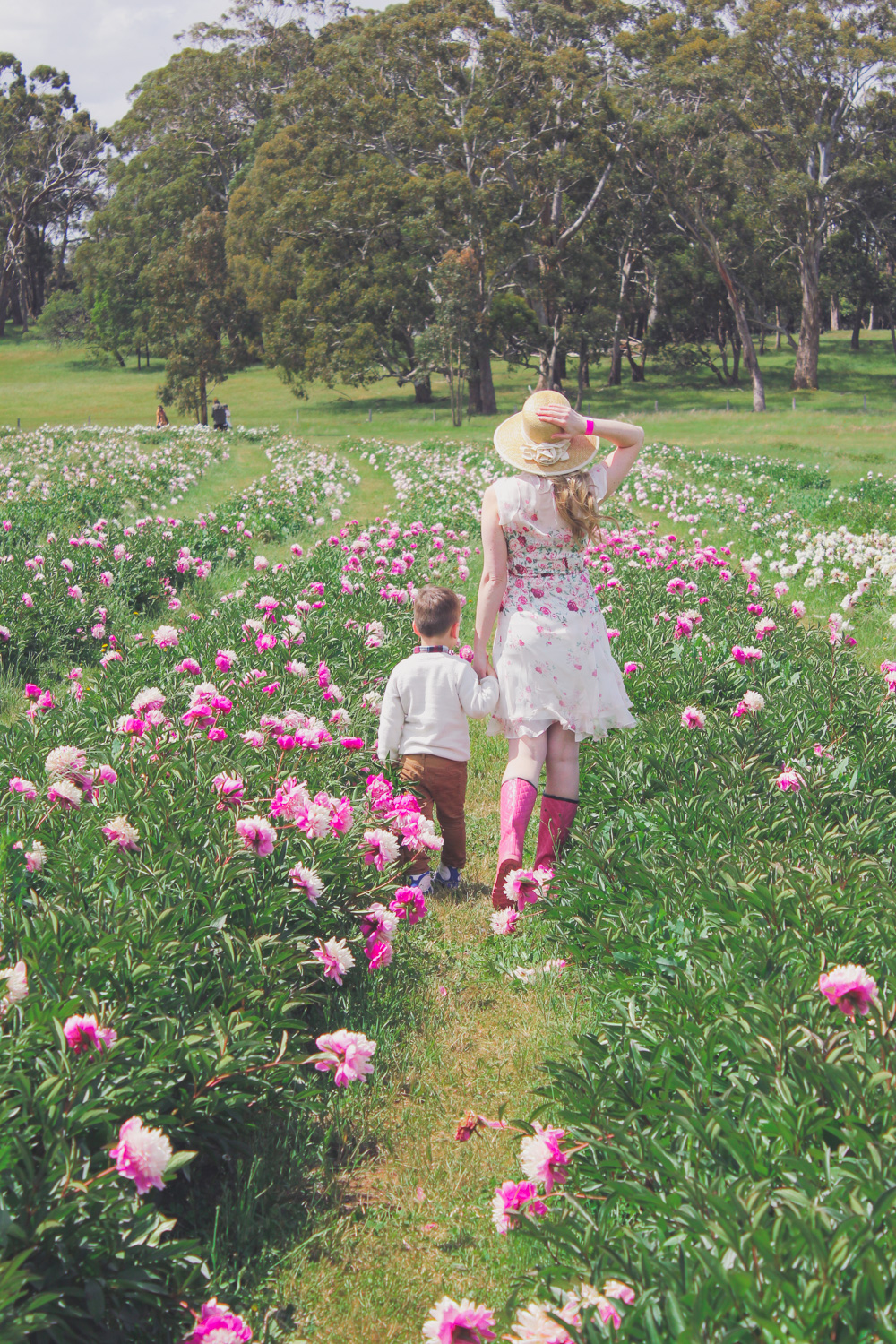 Goldfields Girl standing in the Peony Paddock at Spring Hill Peony Farm wearing an Alannah Hill dress and straw hat