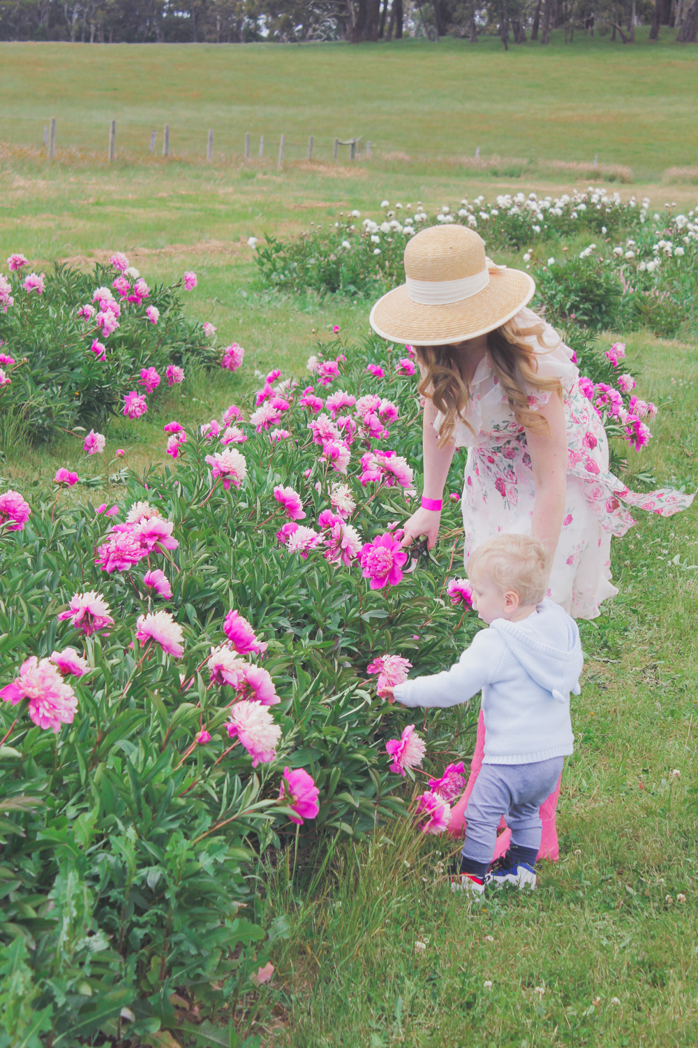 Goldfields Girl standing in the Peony Paddock at Spring Hill Peony Farm wearing an Alannah Hill dress and straw hat