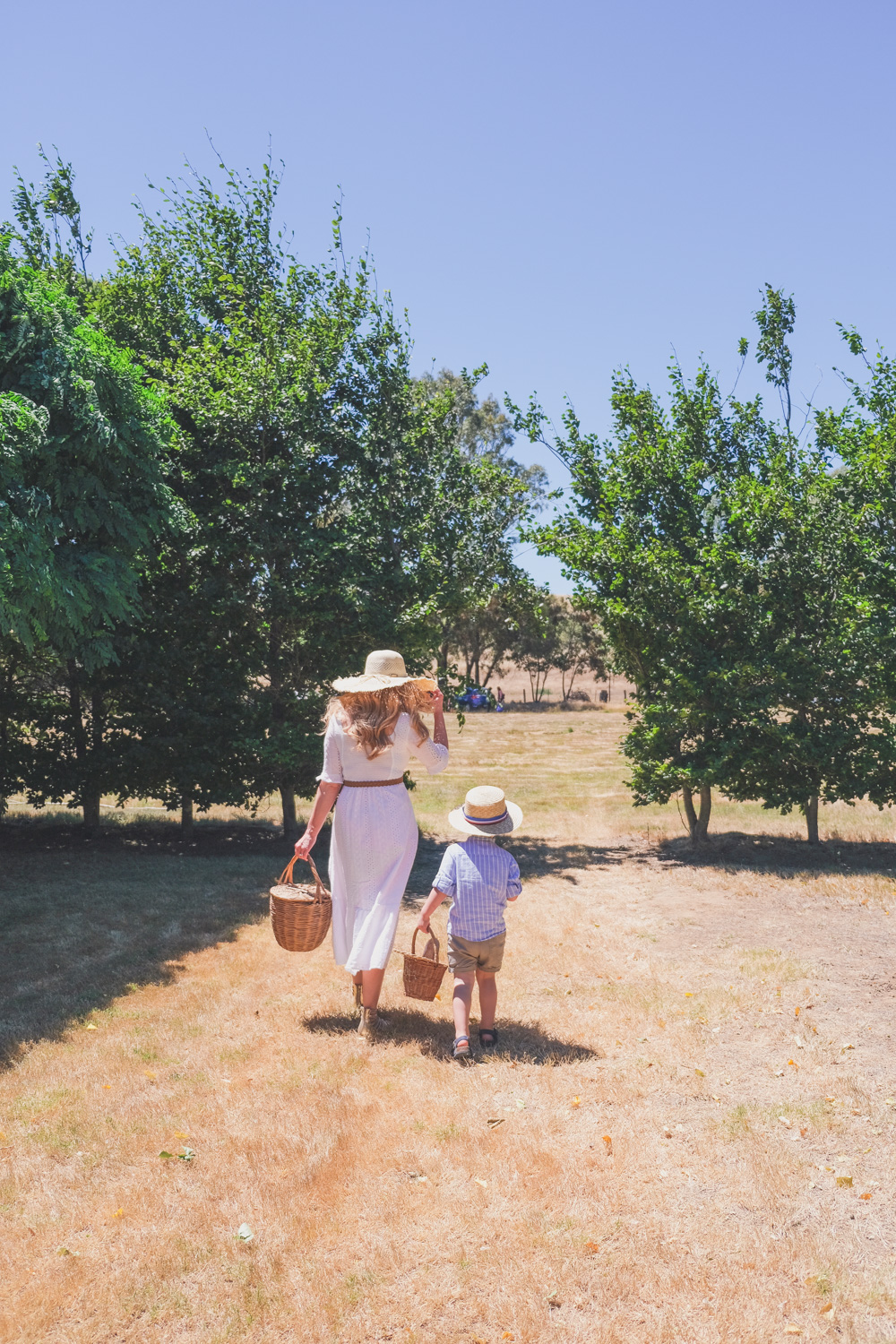 Goldfields Girl and family wearing white summer maternity dress and straw hat at the Harvest Festival at Lavandula Lavender Farm in Daylesford