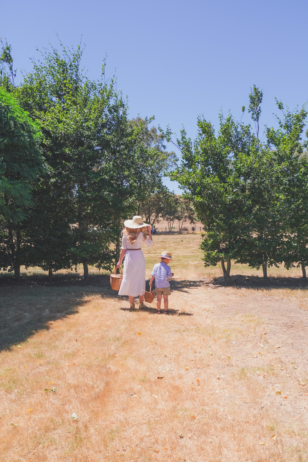 Goldfields Girl and family wearing white summer maternity dress and straw hat at the Harvest Festival at Lavandula Lavender Farm in Daylesford