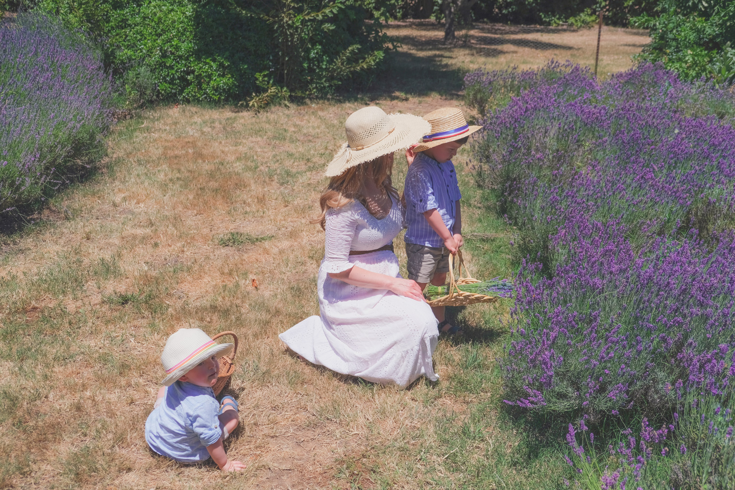 Goldfields Girl and family wearing white summer maternity dress and straw hat at the Harvest Festival at Lavandula Lavender Farm in Daylesford