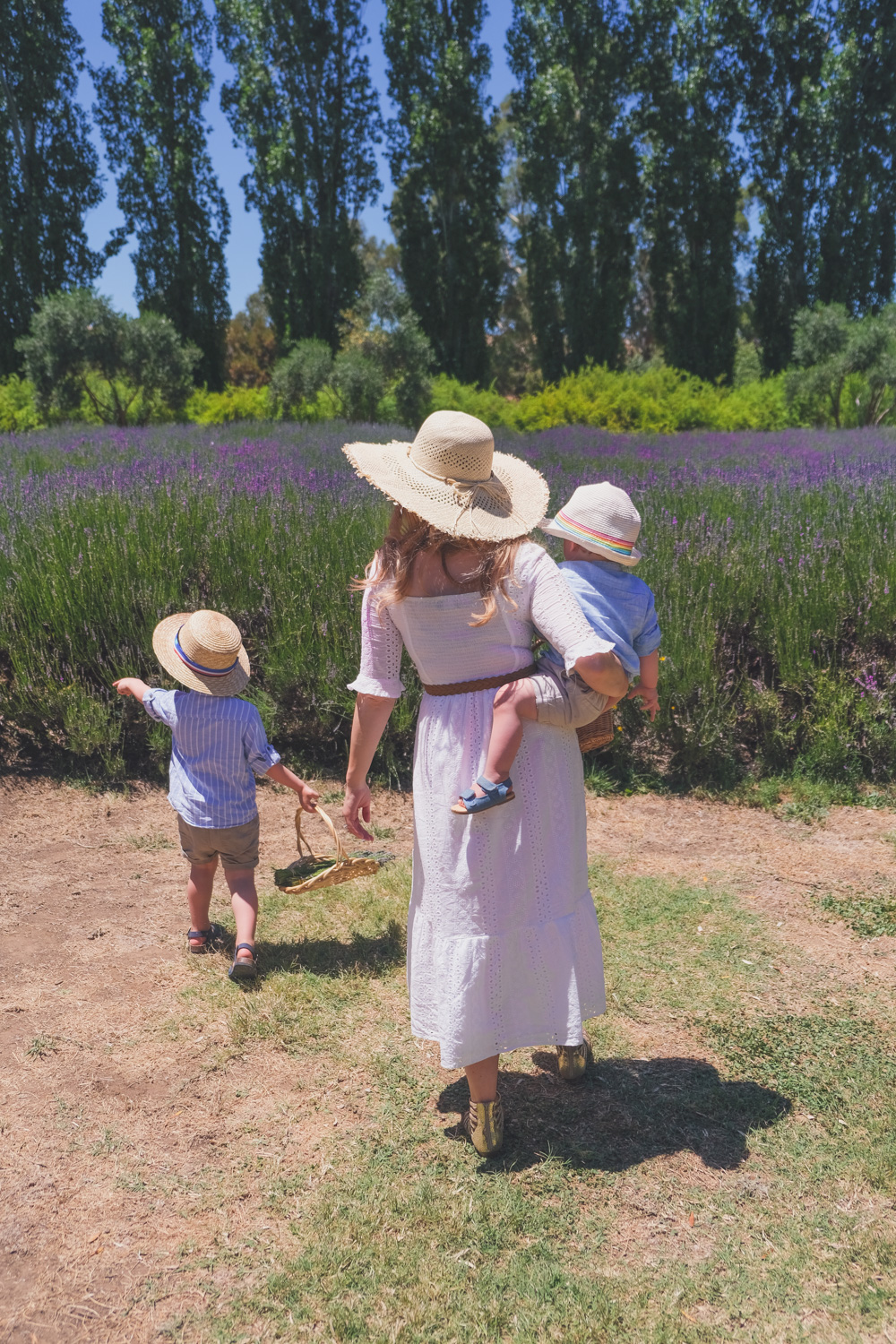 Goldfields Girl and family wearing white summer maternity dress and straw hat at the Harvest Festival at Lavandula Lavender Farm in Daylesford