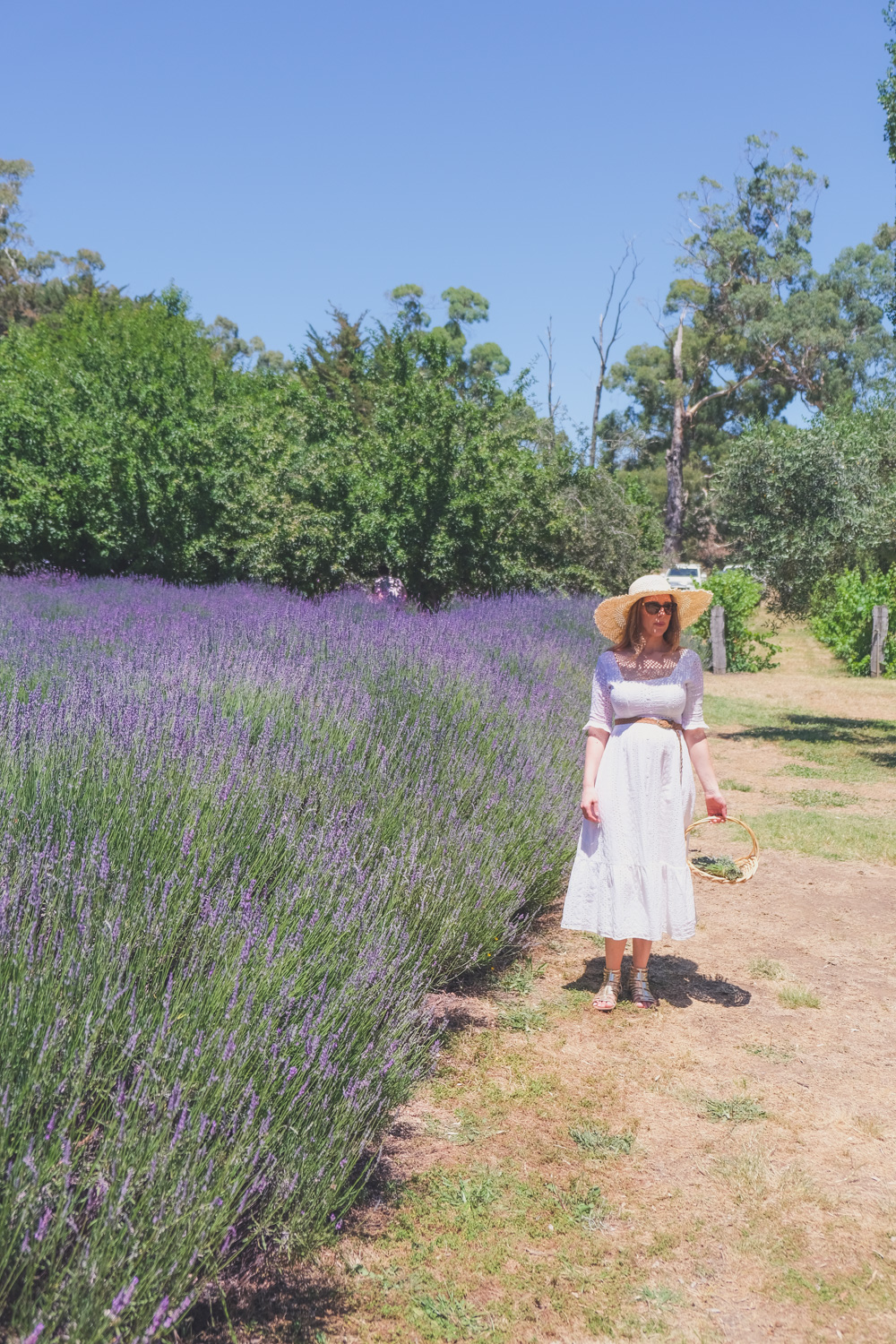 Goldfields Girl and family wearing white summer maternity dress and straw hat at the Harvest Festival at Lavandula Lavender Farm in Daylesford