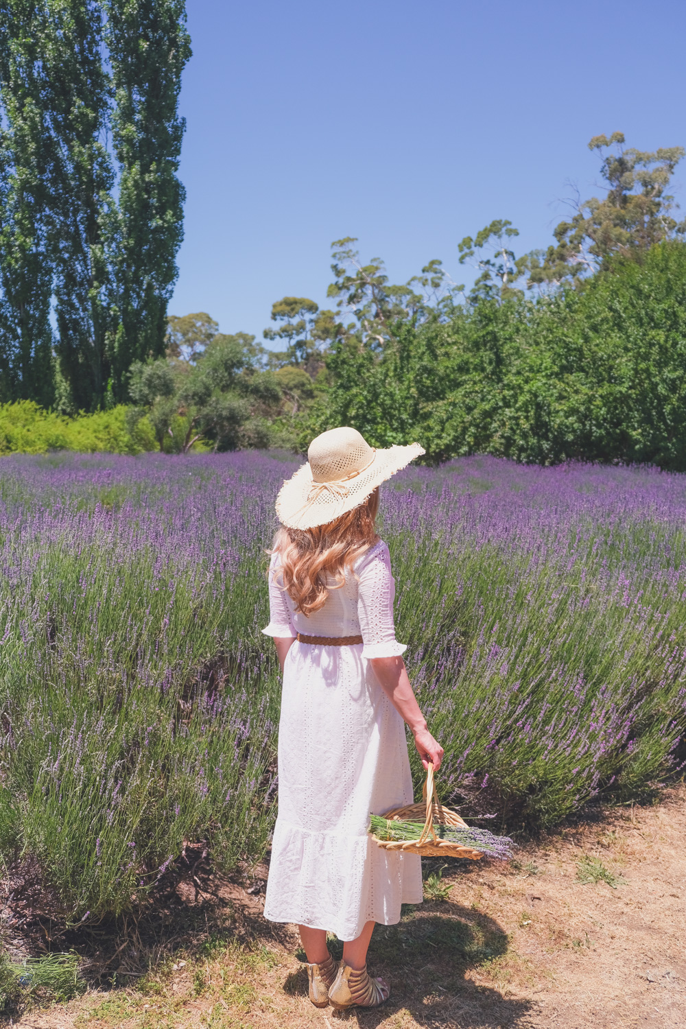 Goldfields Girl and family wearing white summer maternity dress and straw hat at the Harvest Festival at Lavandula Lavender Farm in Daylesford