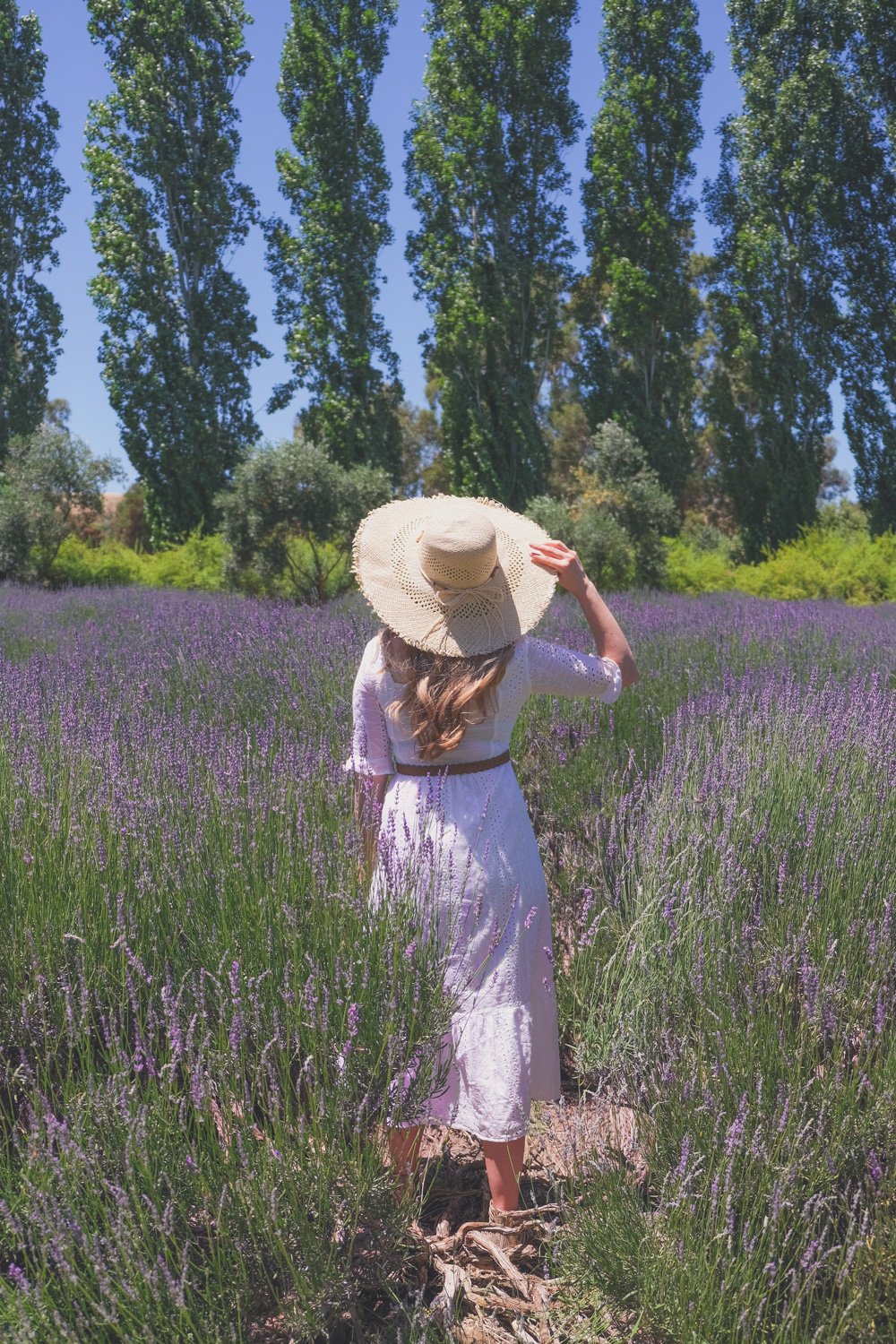 Goldfields Girl and family wearing white summer maternity dress and straw hat at the Harvest Festival at Lavandula Lavender Farm in Daylesford