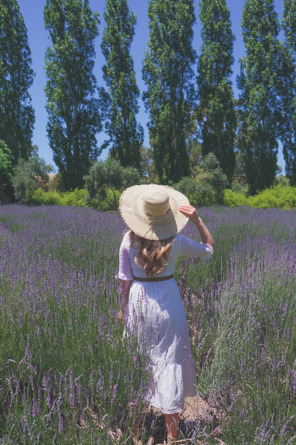 Goldfields Girl and family wearing white summer maternity dress and straw hat at the Harvest Festival at Lavandula Lavender Farm in Daylesford