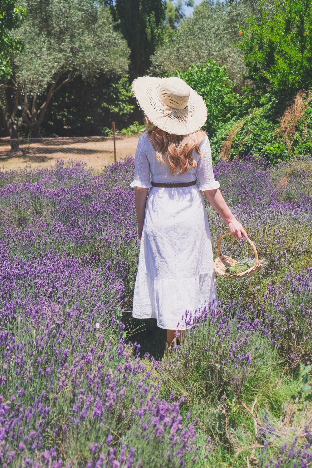 Goldfields Girl and family wearing white summer maternity dress and straw hat at the Harvest Festival at Lavandula Lavender Farm in Daylesford