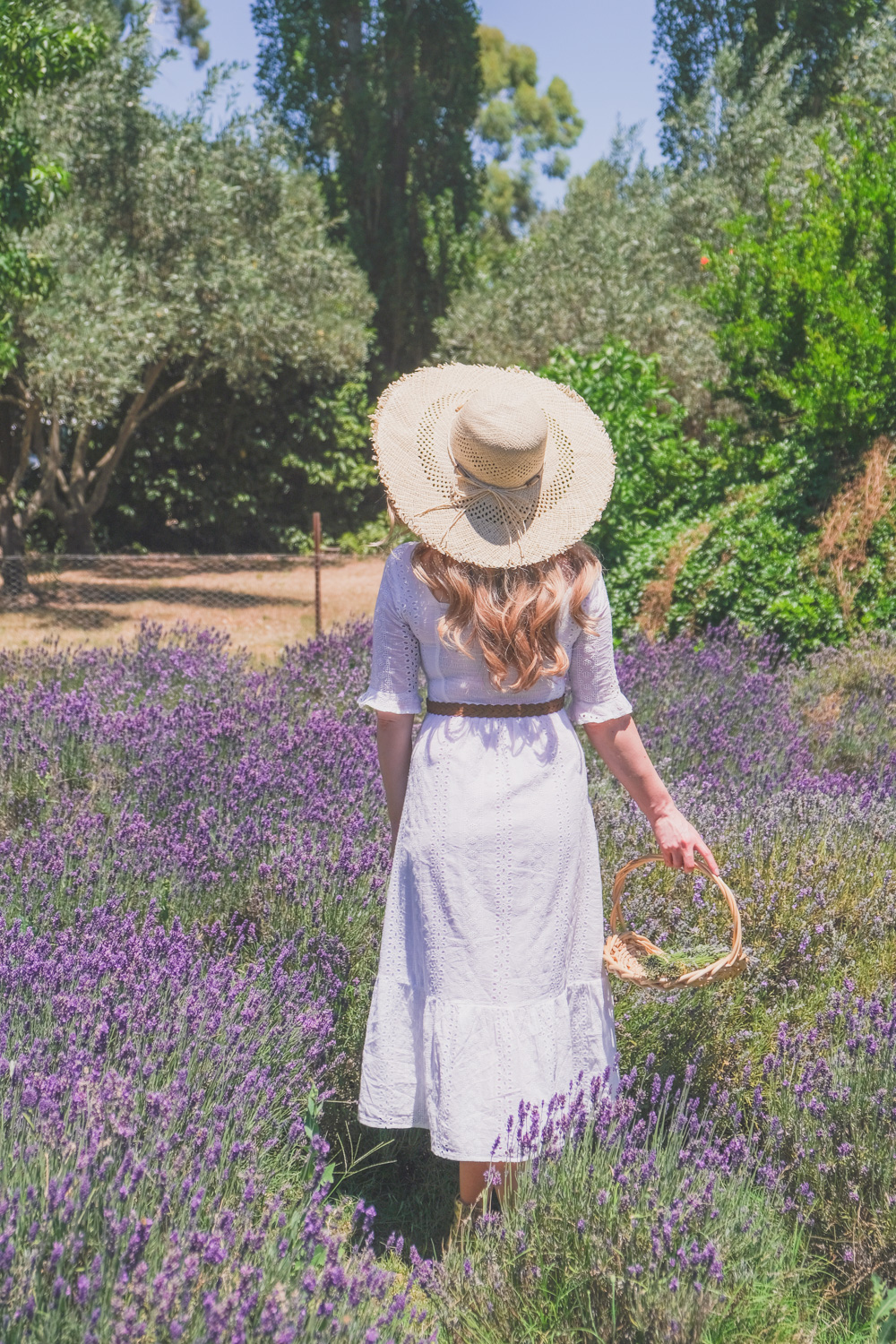 Goldfields Girl and family wearing white summer maternity dress and straw hat at the Harvest Festival at Lavandula Lavender Farm in Daylesford