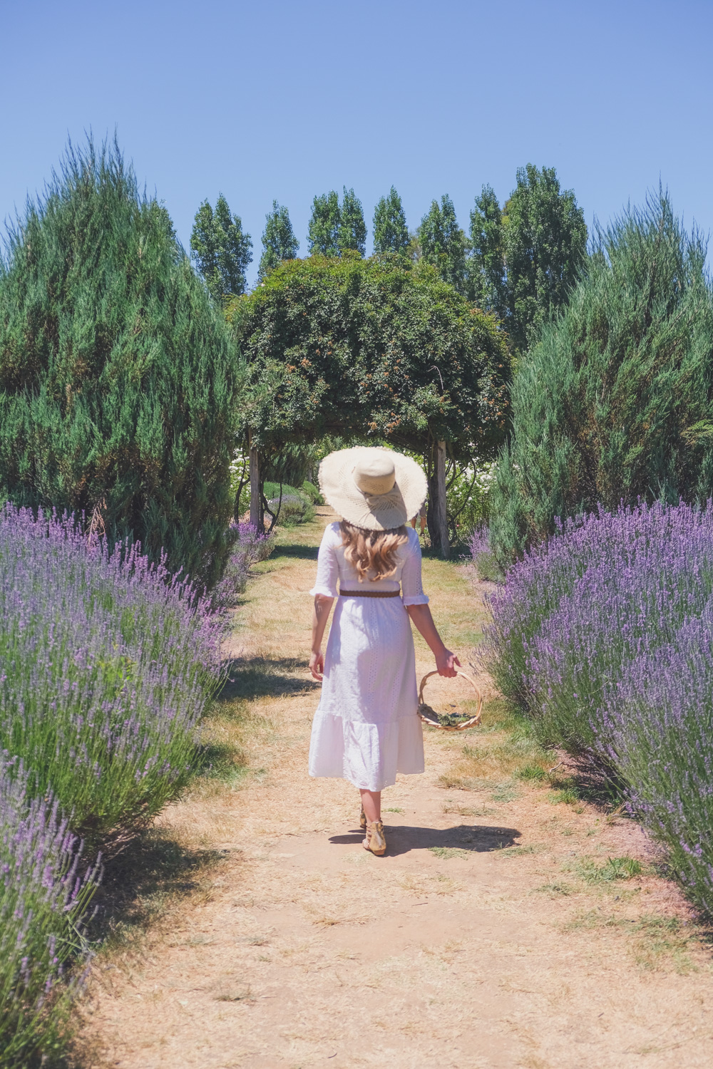 Goldfields Girl and family wearing white summer maternity dress and straw hat at the Harvest Festival at Lavandula Lavender Farm in Daylesford