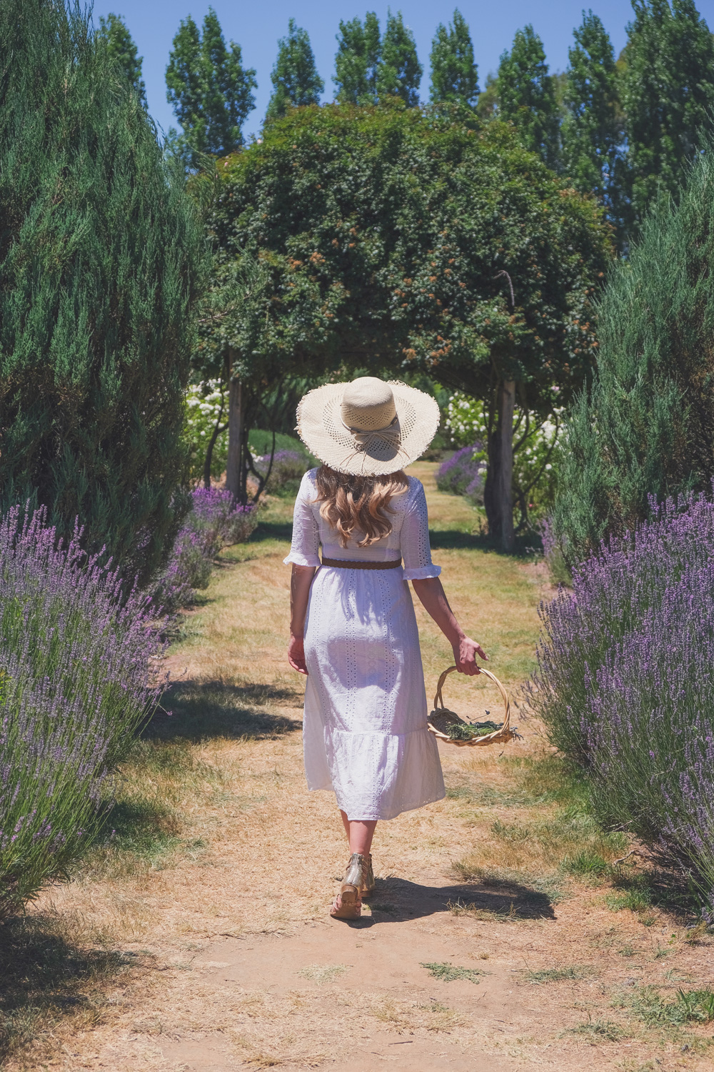 Goldfields Girl and family wearing white summer maternity dress and straw hat at the Harvest Festival at Lavandula Lavender Farm in Daylesford