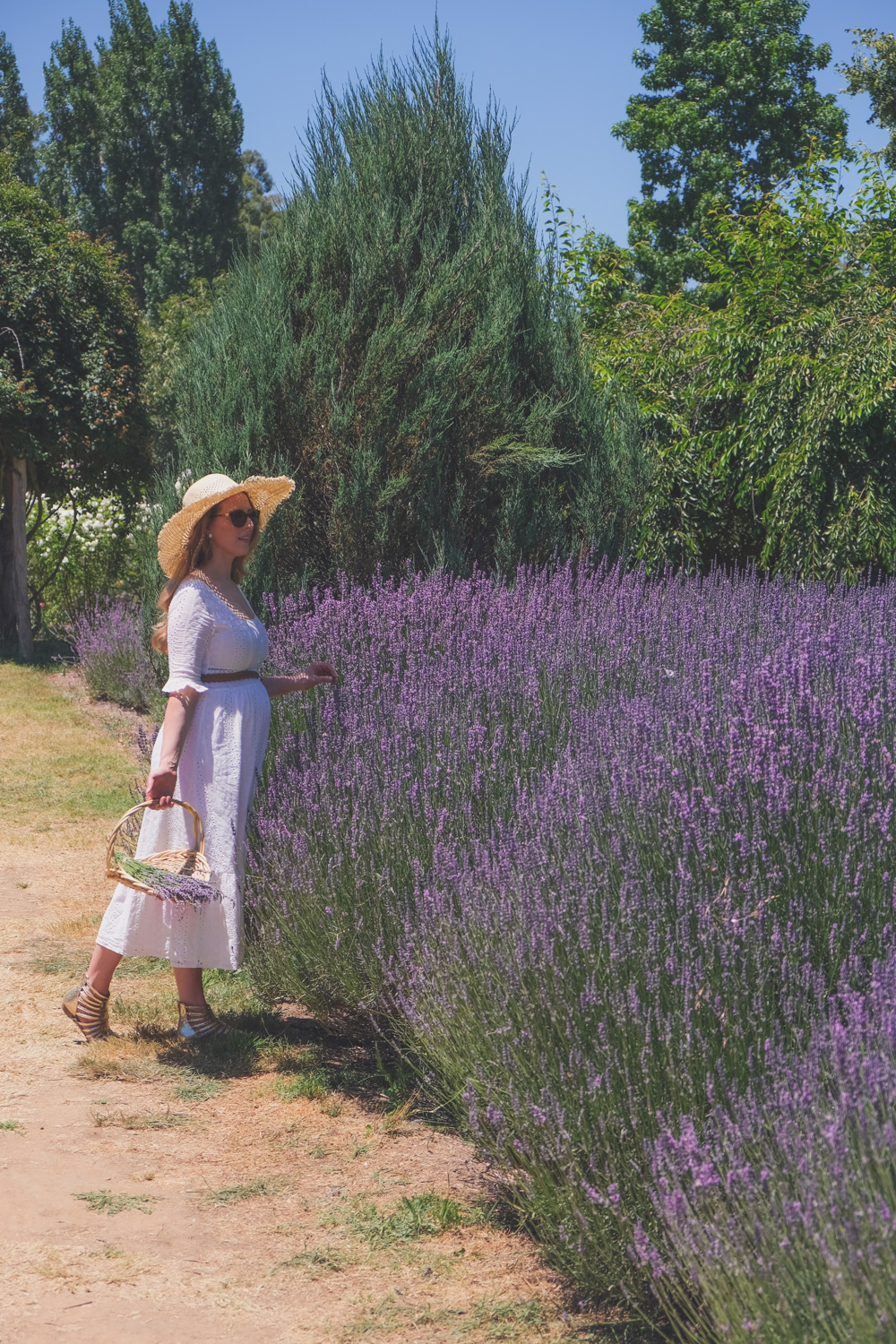 Goldfields Girl and family wearing white summer maternity dress and straw hat at the Harvest Festival at Lavandula Lavender Farm in Daylesford