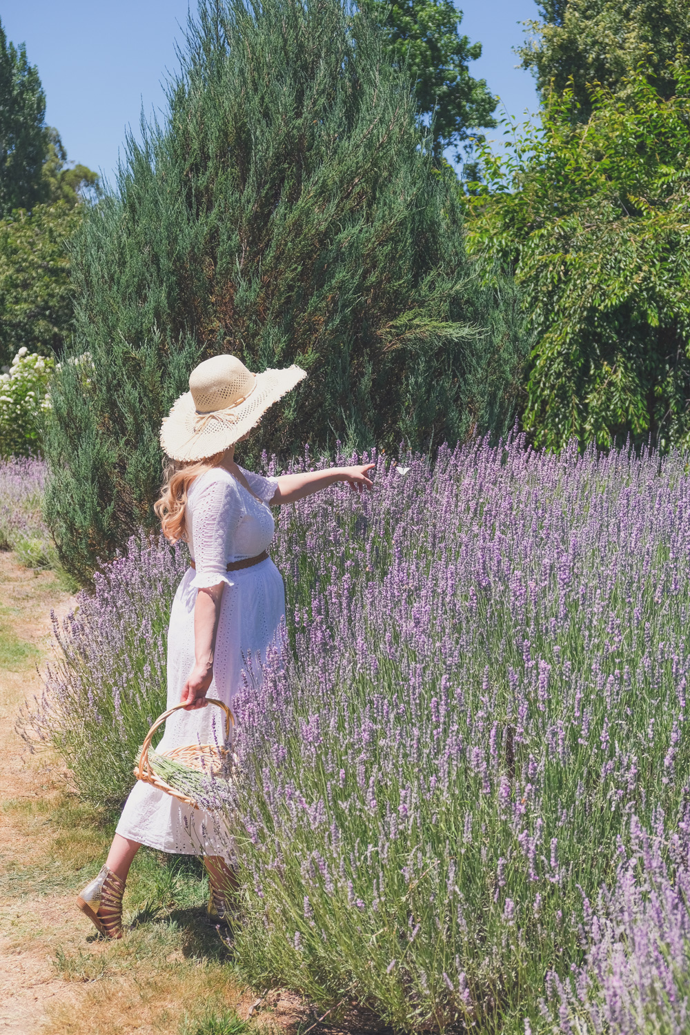 Goldfields Girl and family wearing white summer maternity dress and straw hat at the Harvest Festival at Lavandula Lavender Farm in Daylesford