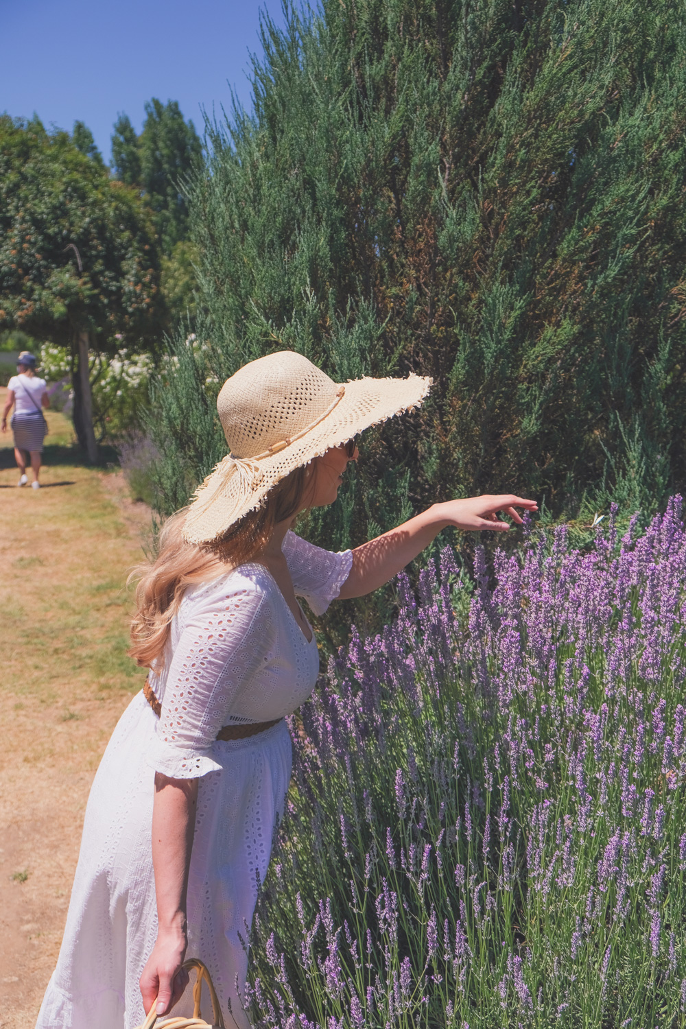 Goldfields Girl and family wearing white summer maternity dress and straw hat at the Harvest Festival at Lavandula Lavender Farm in Daylesford