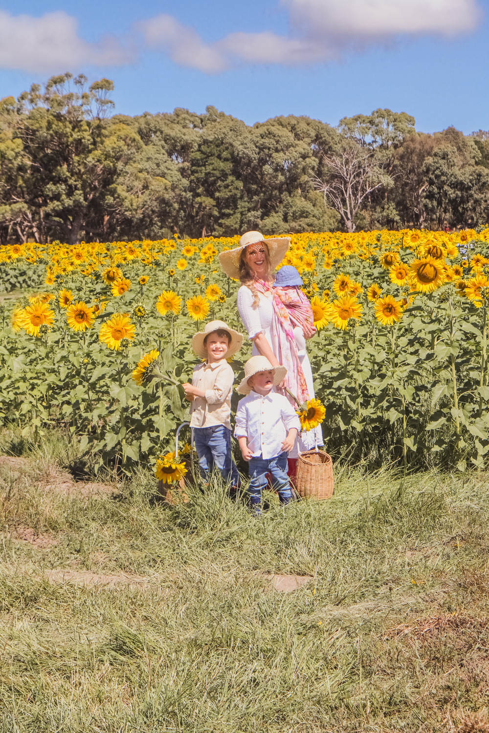 Goldfields Girl with her kids in the sunflower field near Ballarat holding giant sunflowers and wearing straw hats