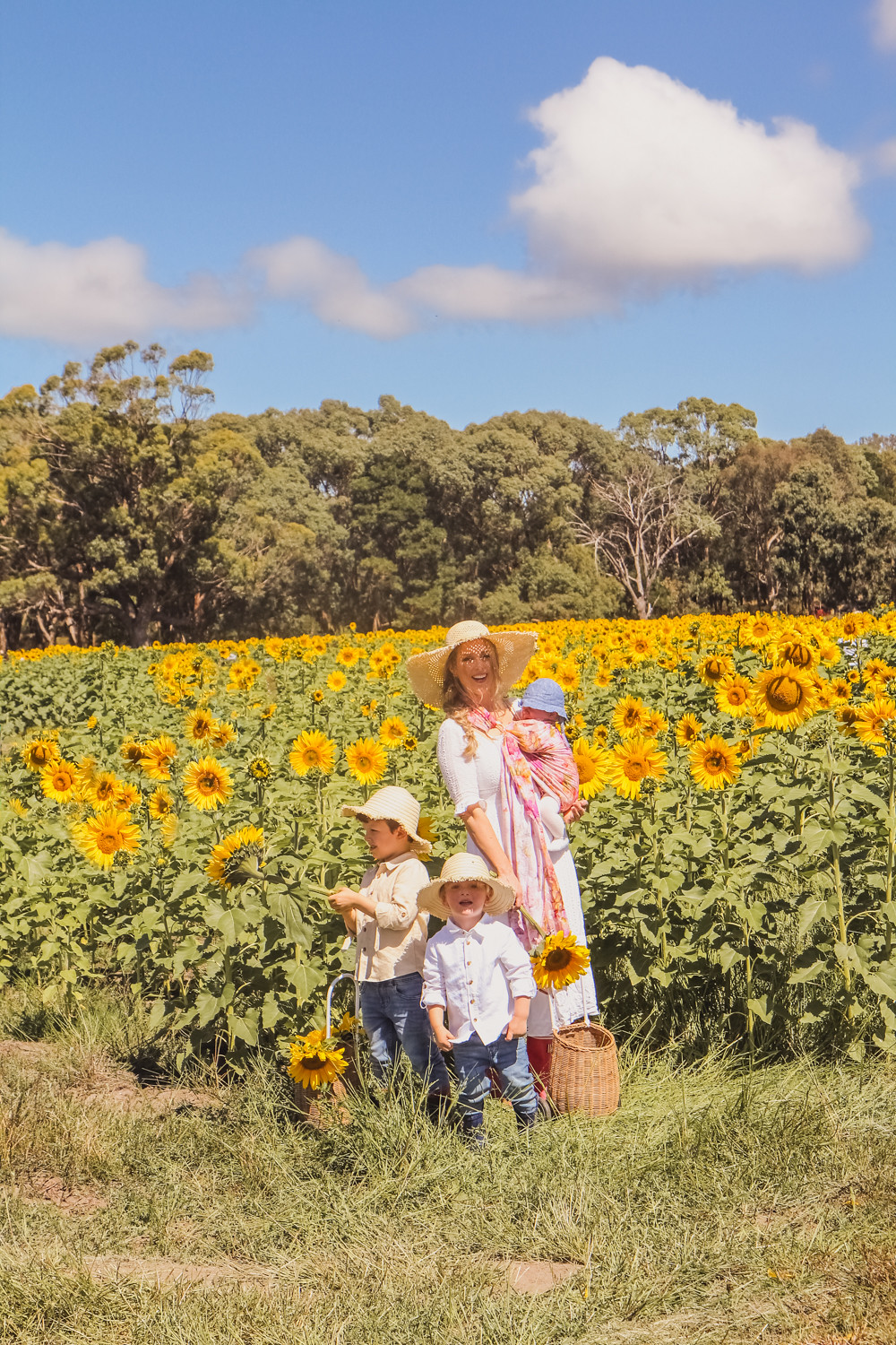 Goldfields Girl with her kids in the sunflower field near Ballarat holding giant sunflowers and wearing straw hats