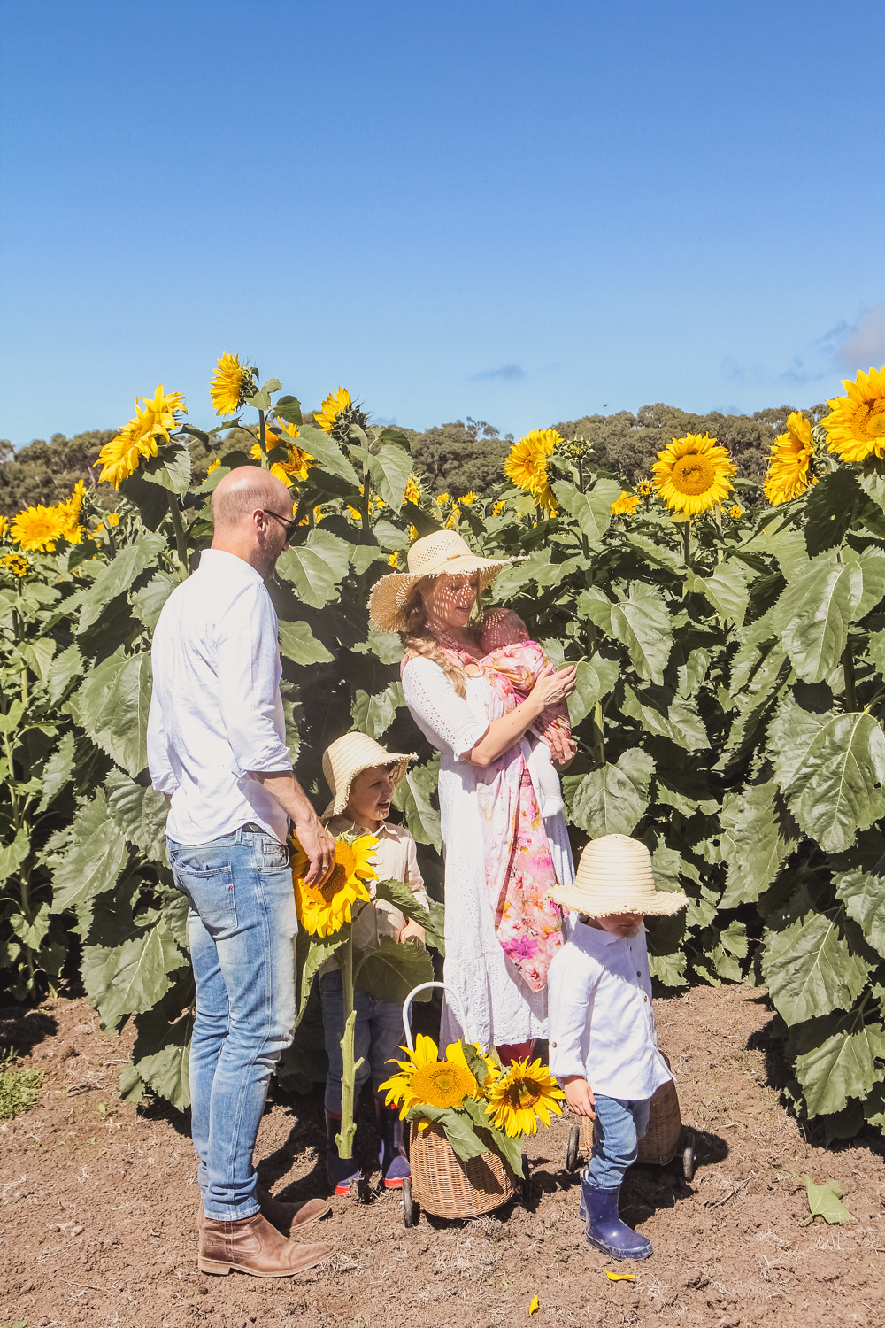 Goldfields Girl and family portrait in sunflower field at pick your own sunflowers near Ballarat Olli Ella leggy filled with sunflowers