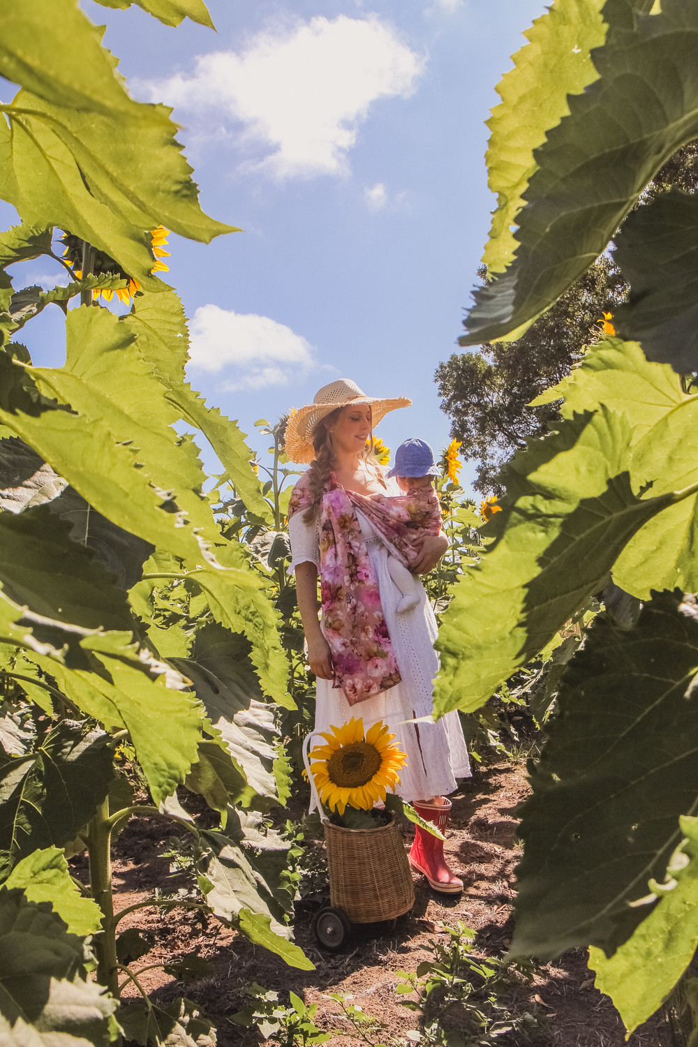 Goldfields Girl at sunflower farm in Ballarat in Victoria. Wearing white eyelet dress, straw hat and pink ring sling baby carrier pulling Olli Ella buggy filled with sunflowers