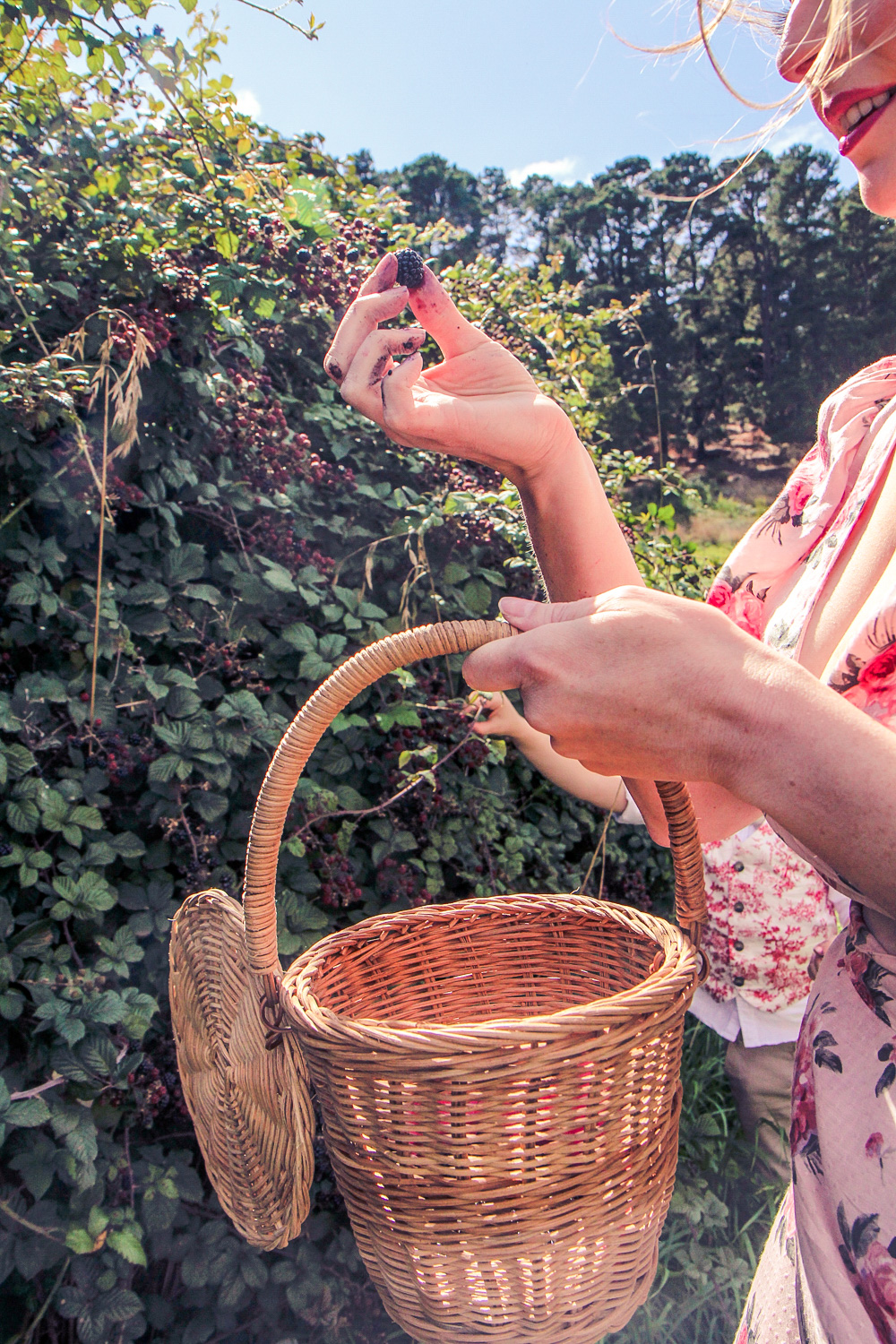 Goldfields Girl holds a blackberry with her basket