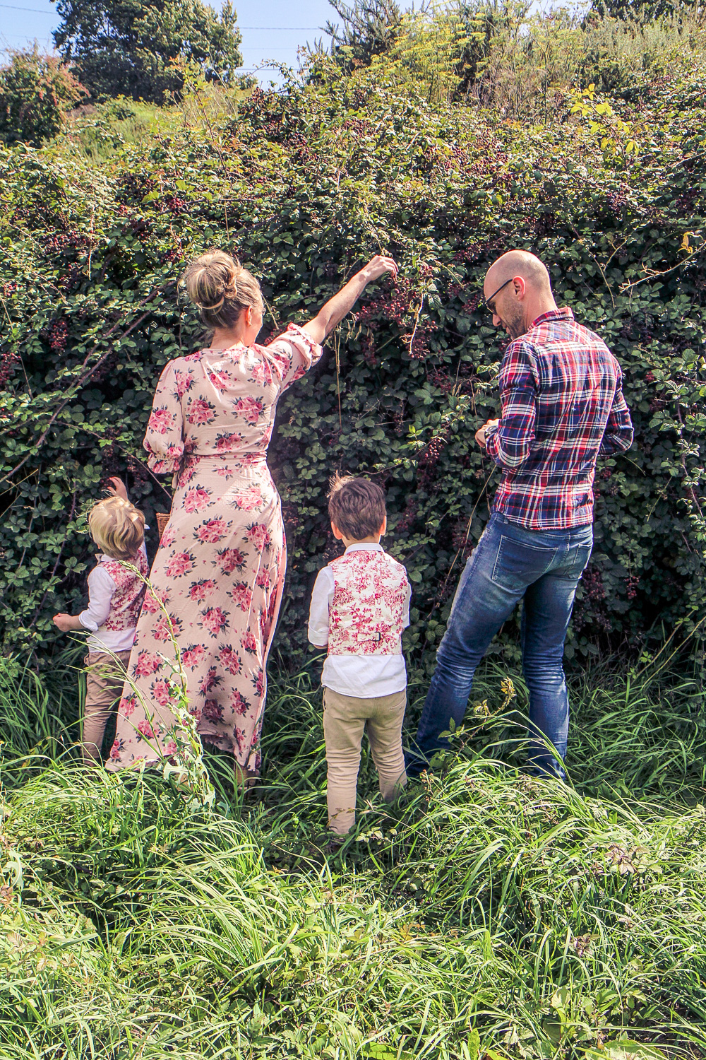 Family picking blackberries