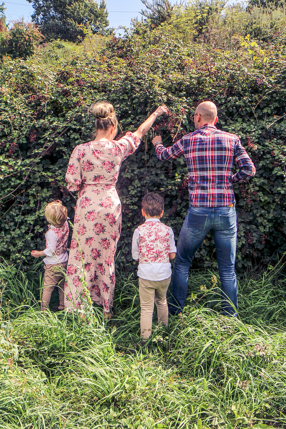 Family picking blackberries