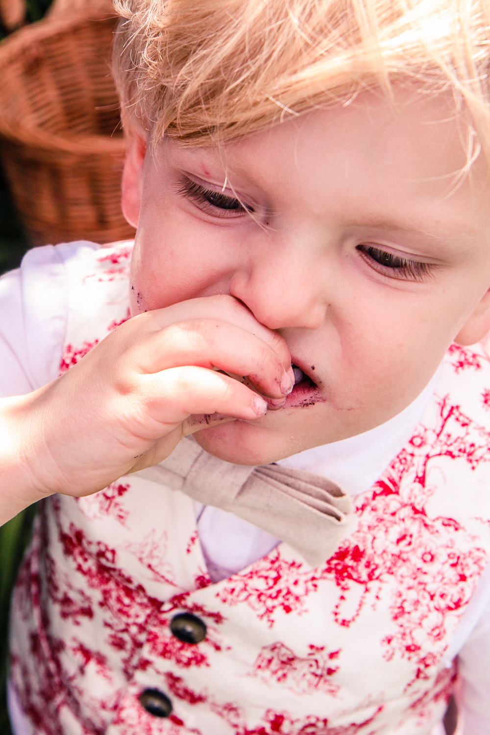 little boy eating fresh blackberries