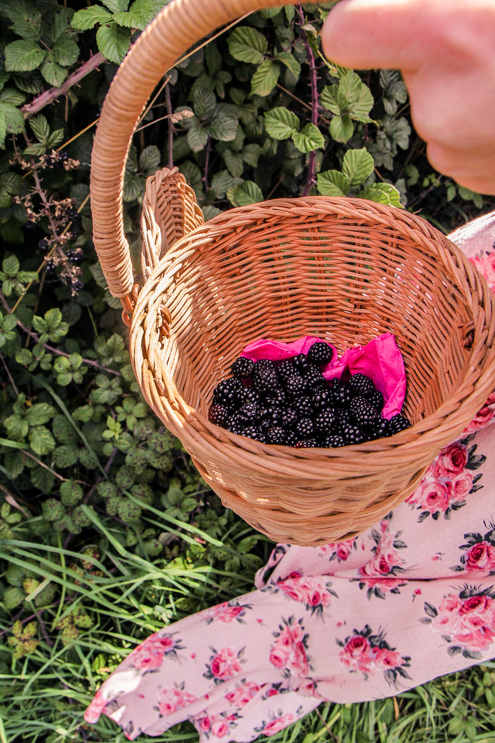 blackberries in a small basket