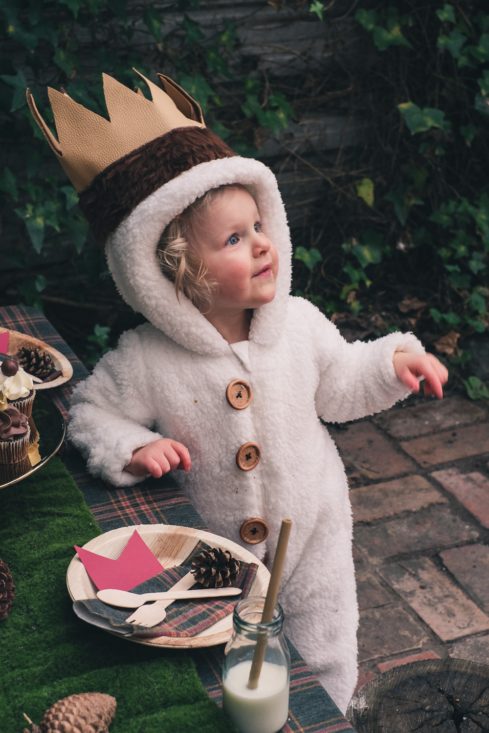 Child wearing home made Where The Wild Things Are party costume