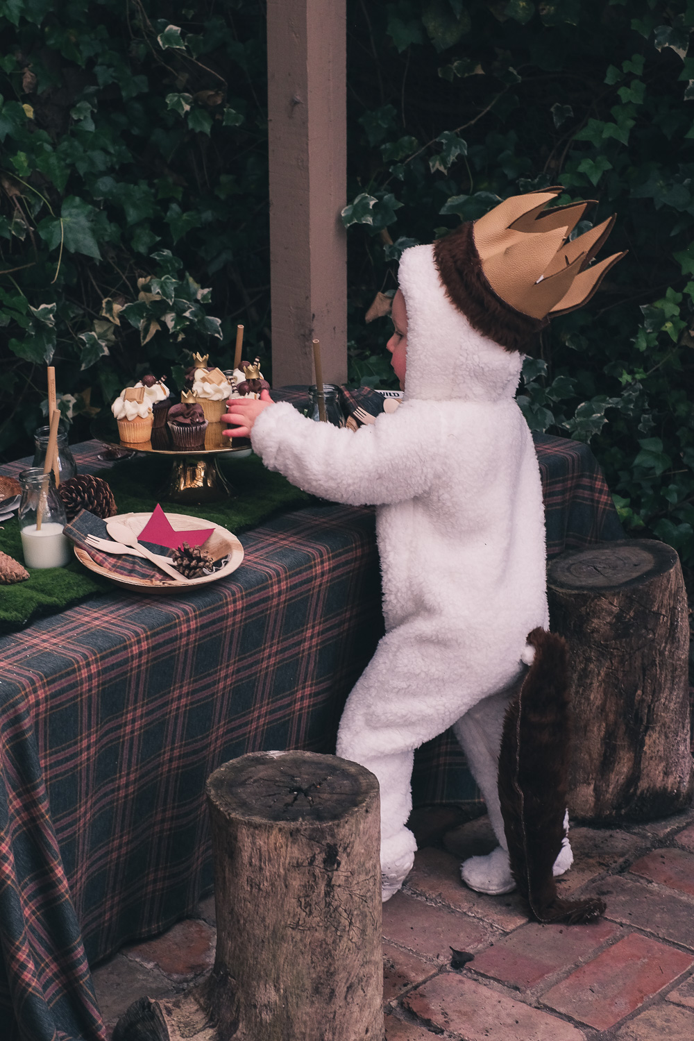 Child wearing Where The Wild Things Are party costume sits at party table