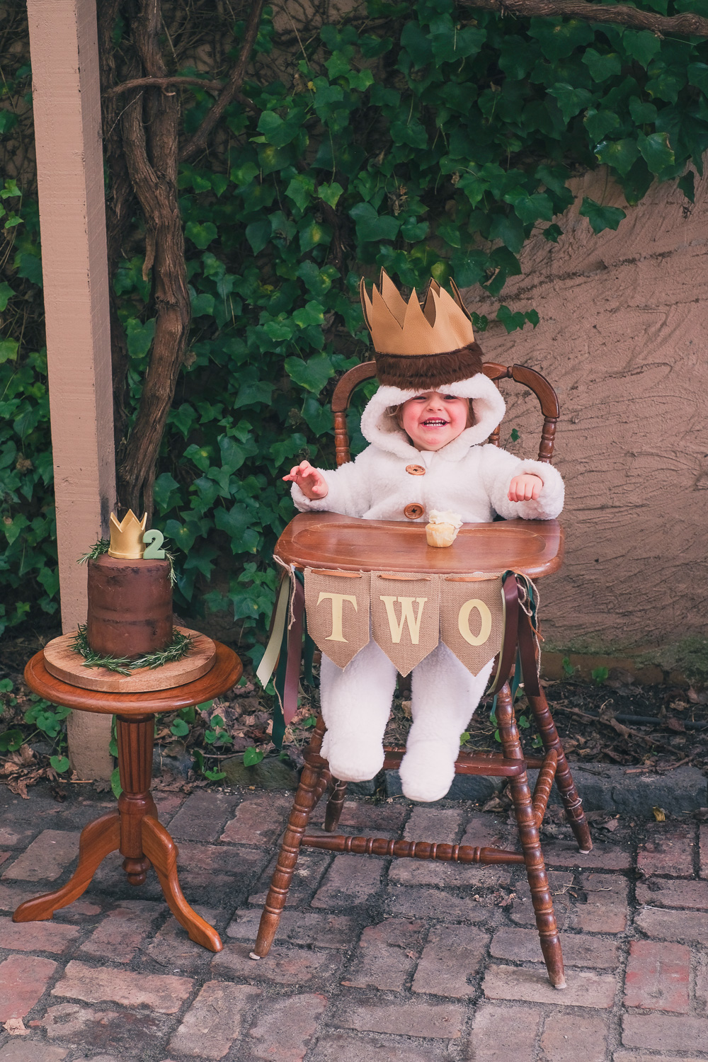 Where the Wild Things Are – Jett turns two!