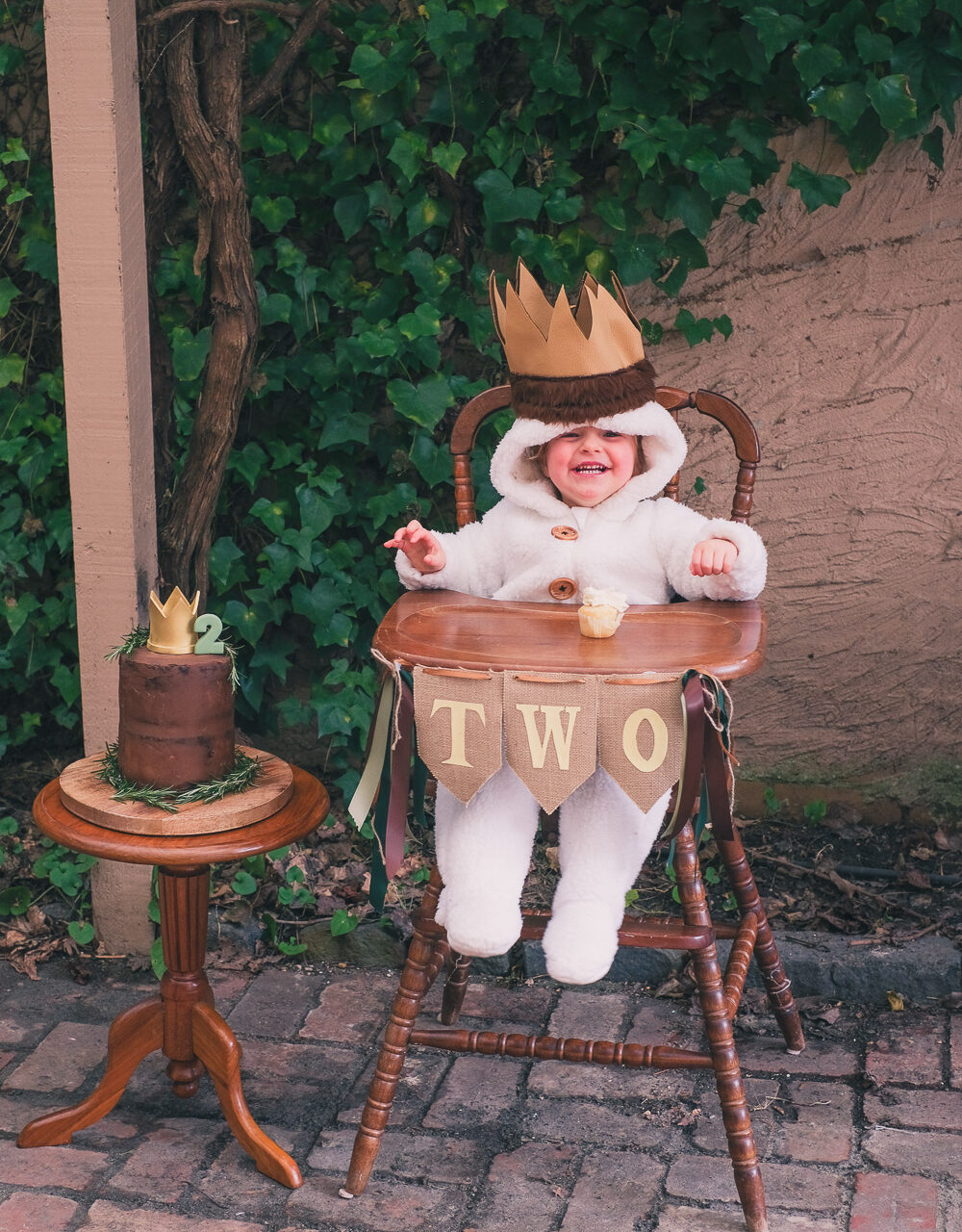 Where the Wild Things Are – Jett turns two!