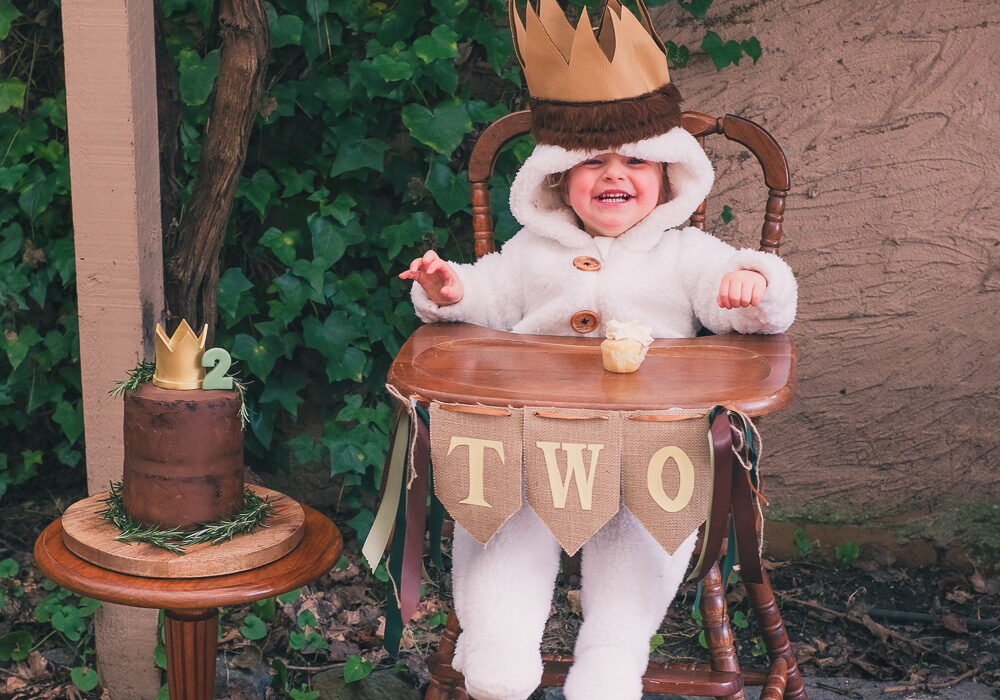 Where the Wild Things Are – Jett turns two!